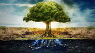 metodo_arbol metodo_arbol