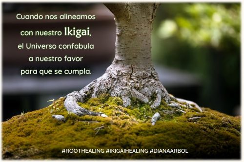 Root-Healing-banner Root Healing