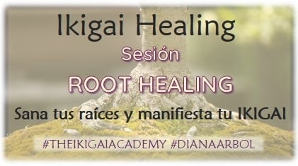 Sesion Root Healing