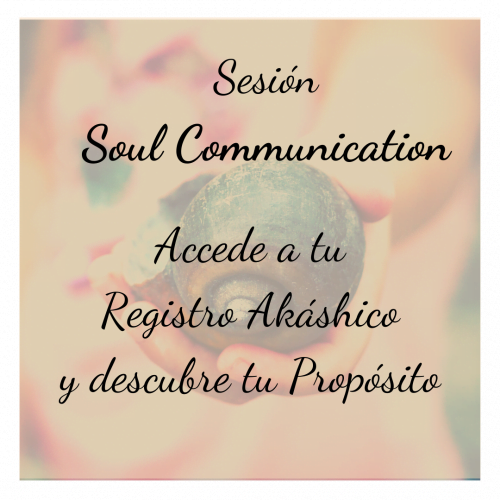 Sesión Soul Communication Sesión Soul Communication