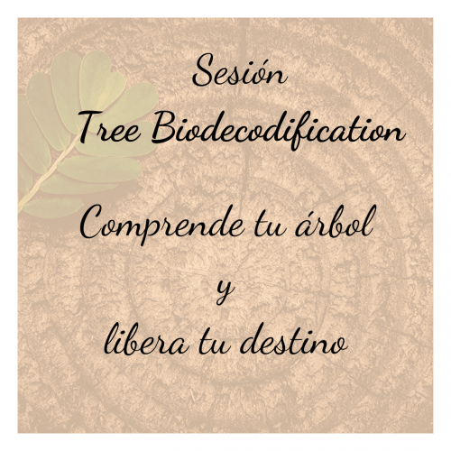 Sesión Tree Biodecodification Sesión Tree Biodecodification