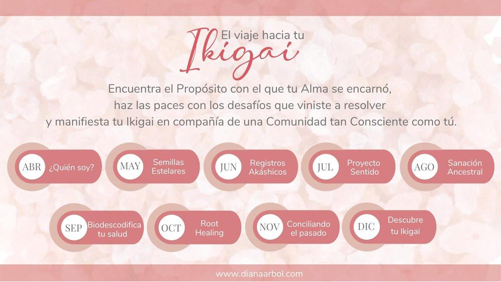 El viaje hacia tu Ikigai. Programación