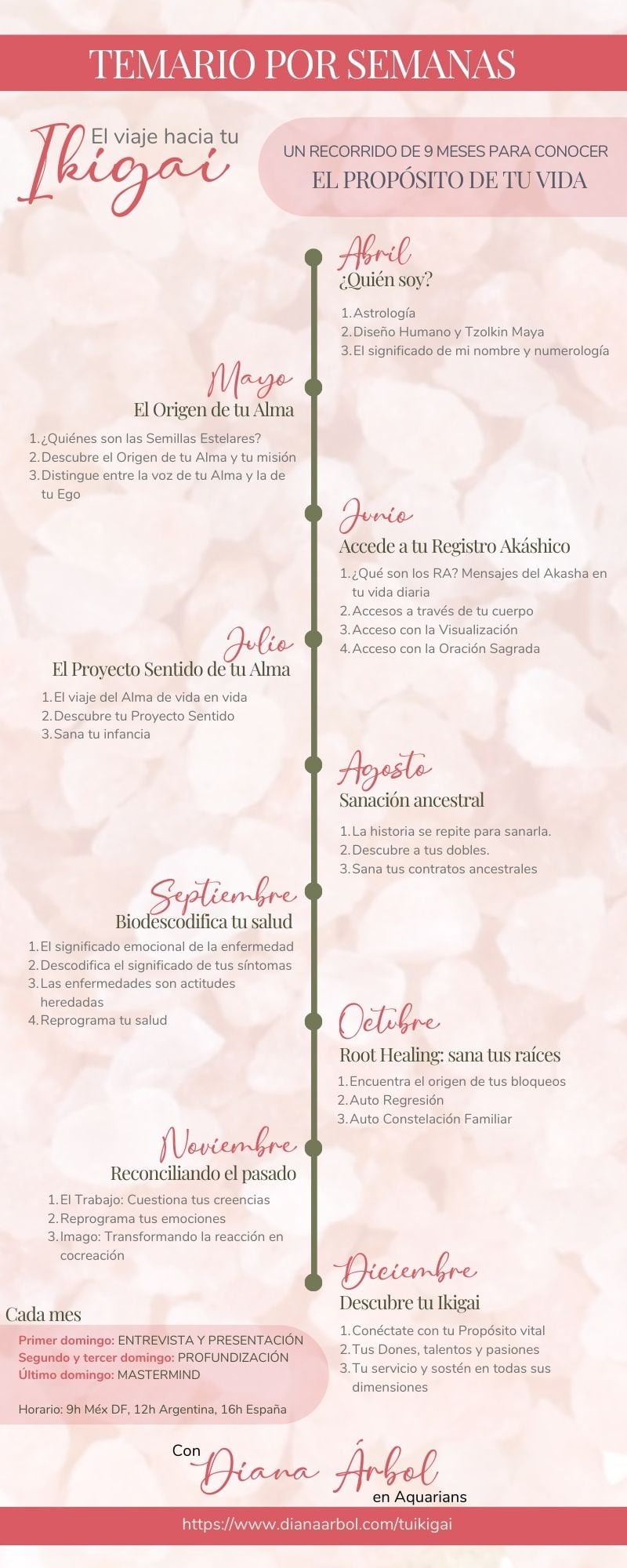 El viaje hacia Tu Ikigai
